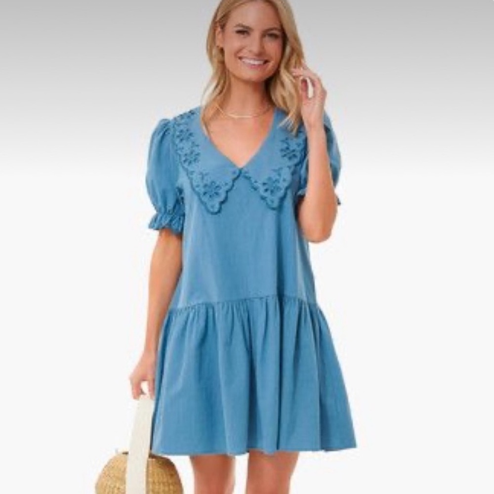 Tuckernuck Blue Embroidered Peter Pan Collar Cotton Dress